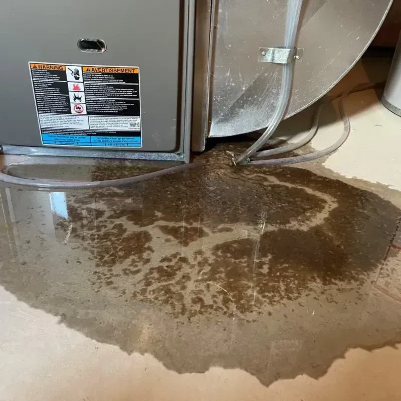 Appliance Leak Cleanup in Eupora, MS